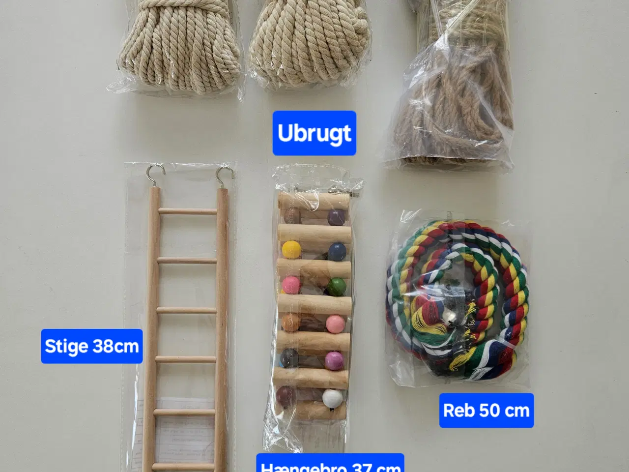 Billede 19 - To søde og kærlige hun kæle dumbo rotter+bur m ALT