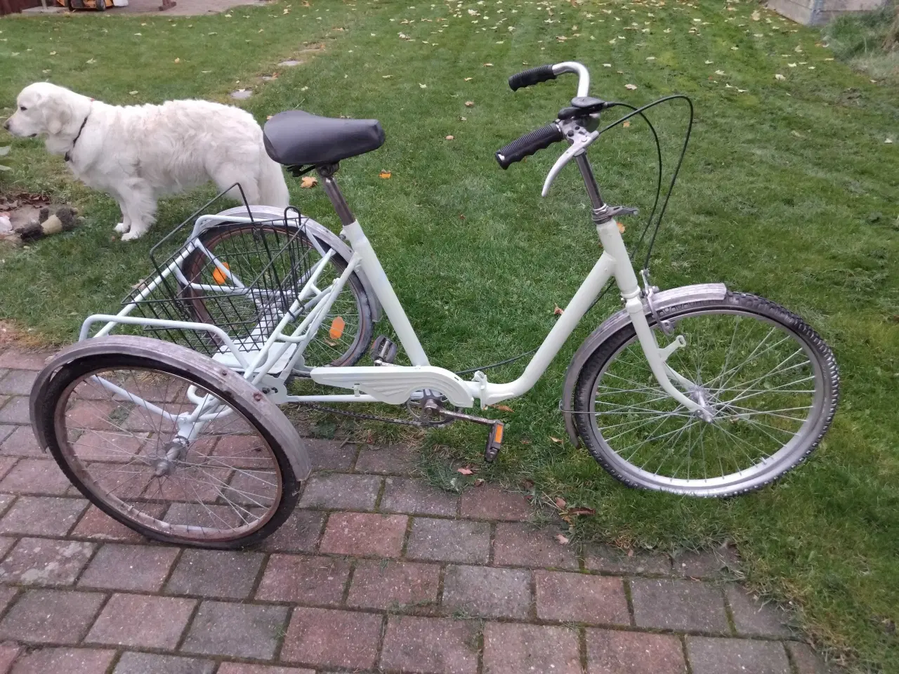 Billede 1 - Trehjulet cykel 3 hjulet cykel