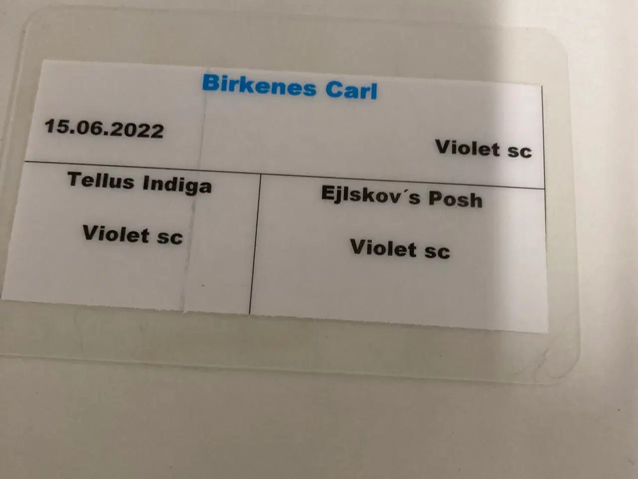 Billede 4 - Violet sc han