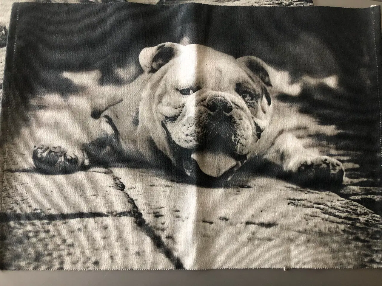 Billede 2 - Dækkeservietter med motiv af engelsk bulldog