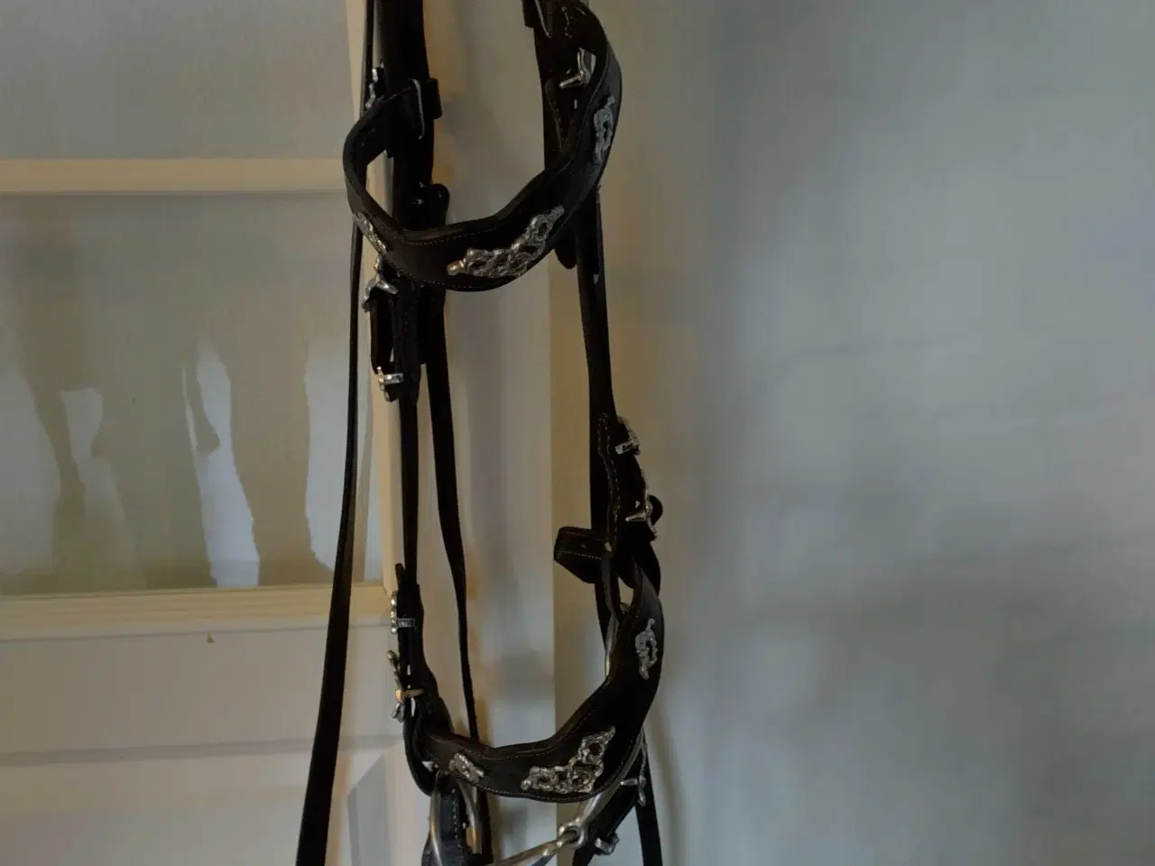 Billede 3 - Show Trense str Full