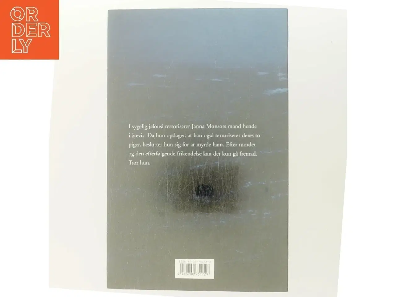 Billede 3 - Blå hav : roman af Susanne Staun (Bog)