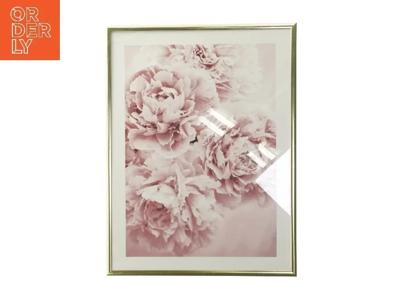 Billede 1 - Indrammet billede med bonderoser  (str. 31x41 cm)