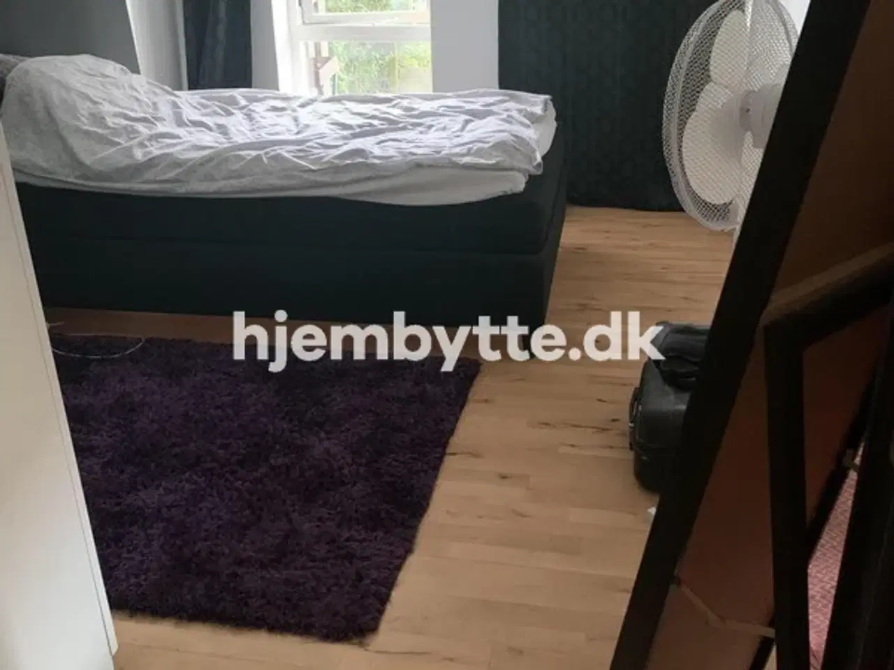 Billede 2 - Hjembytte - FritzMøllersVej