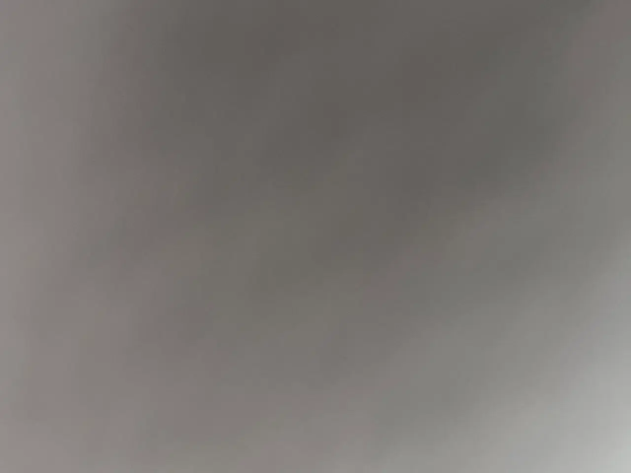 Billede 1 - Kvæg søges 