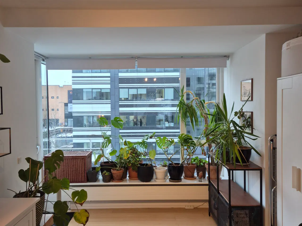 Billede 8 - Lys lejlighed med havudsigt, fuldt møbleret