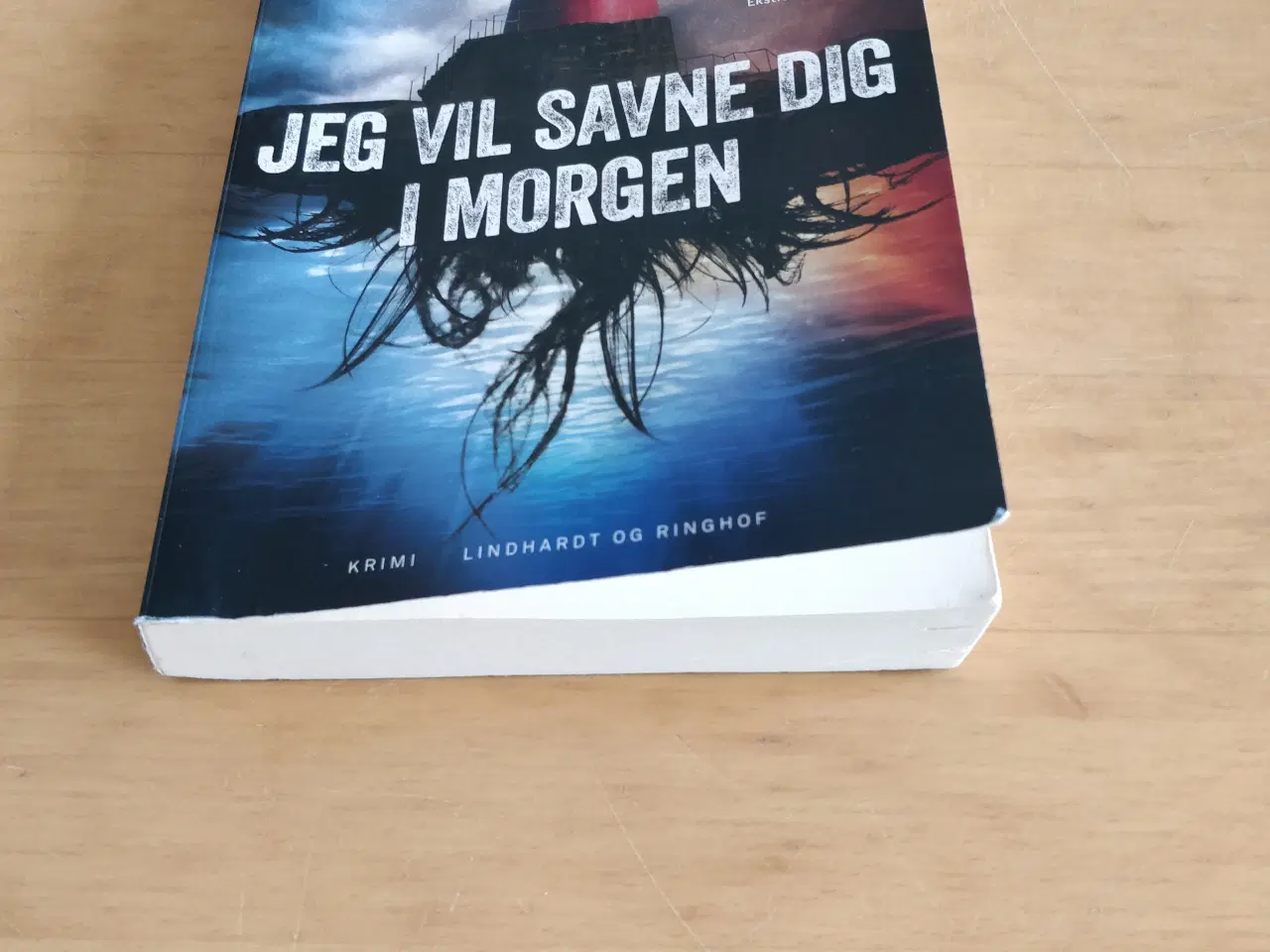 Billede 2 - Jeg vil savne dig i morgen, Heine Bakkeid