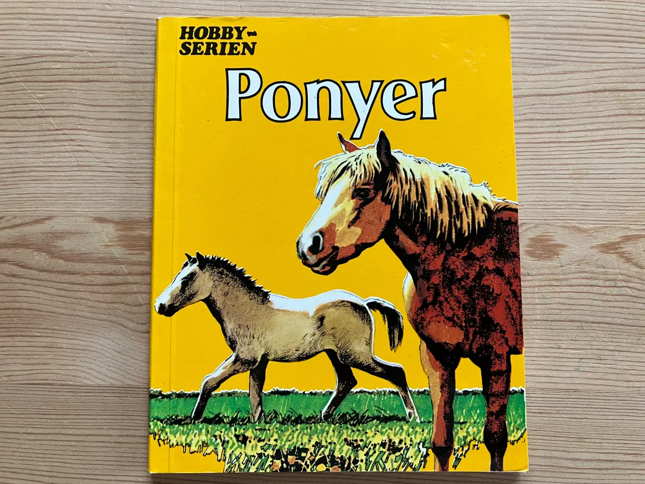 Billede 2 - Hesteejerens håndbog og Forstå din hest m.m.