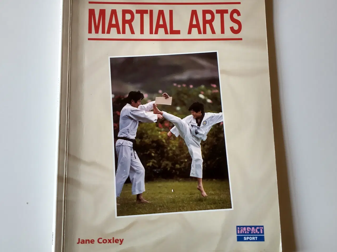 Billede 1 - Martial Arts. Af Jane Coxley