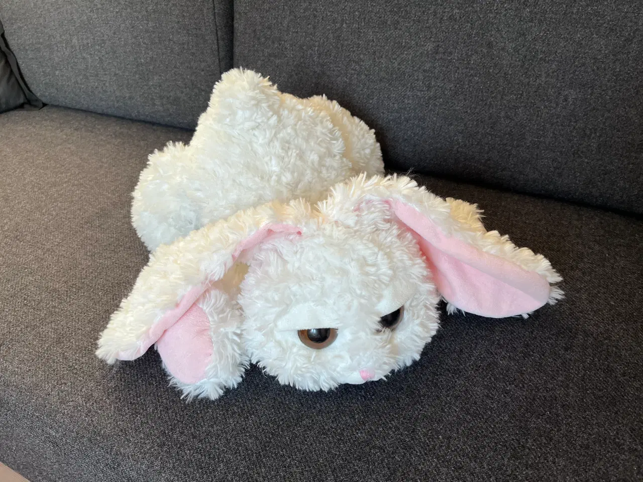 Billede 5 - Bamse Kanin, Blød Bamse, Slaskebamse