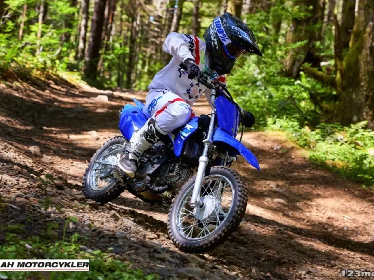 Billede 9 - Yamaha TTR 110