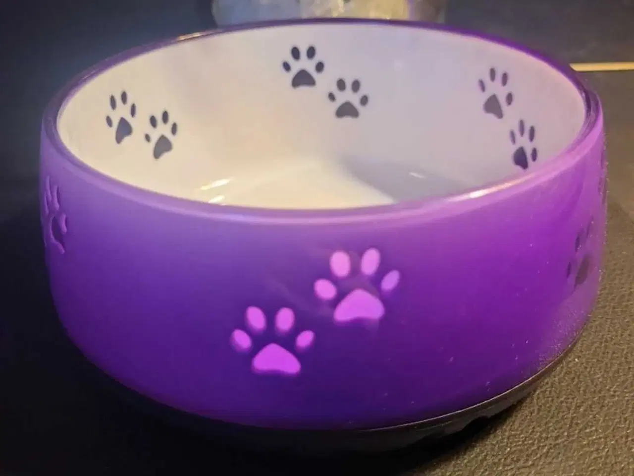 Billede 1 - Lilla Kæledyrsskål Str S