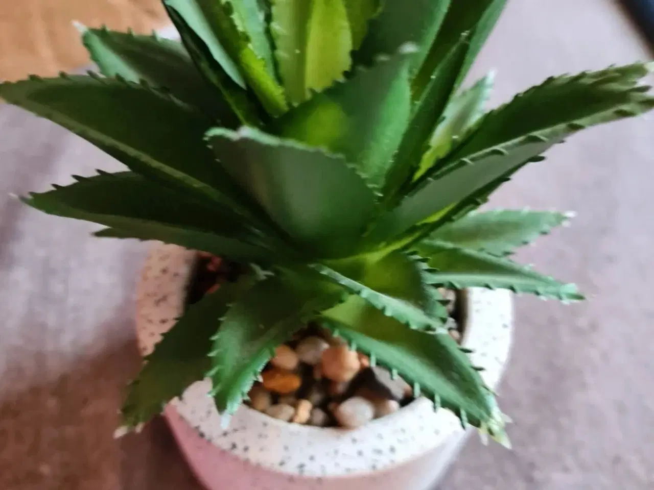 Billede 1 - Smuk kunstig kaktus