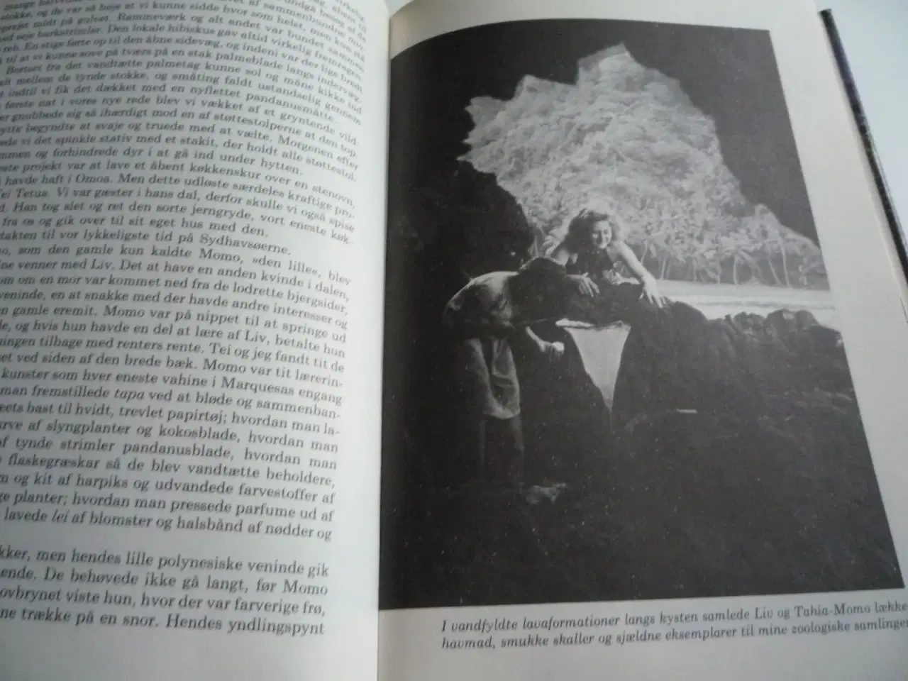 Billede 12 - Thor Heyerdahl, 2 bøger