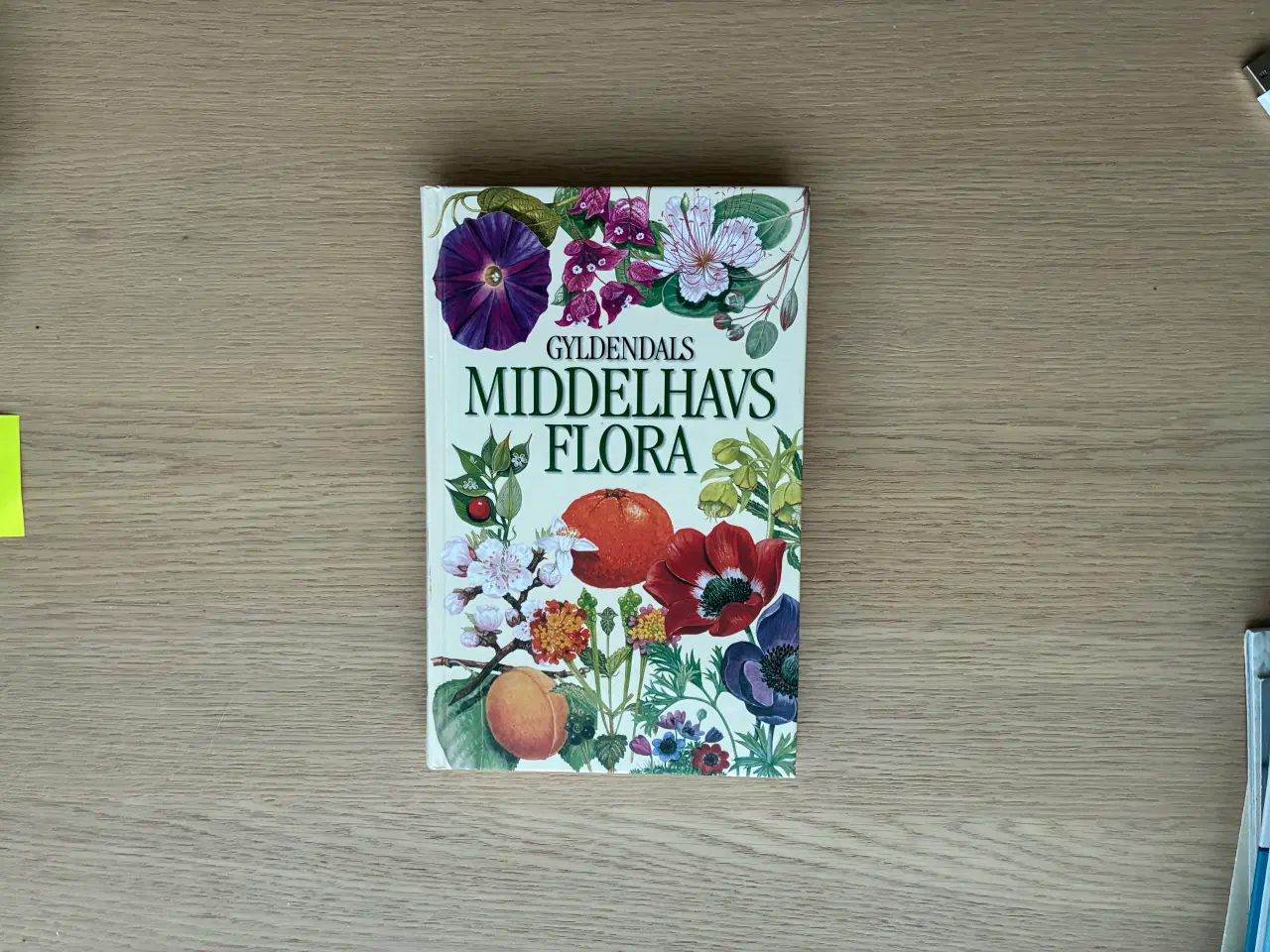 Billede 1 - Gyldendals MIDDELHAVSFLORA