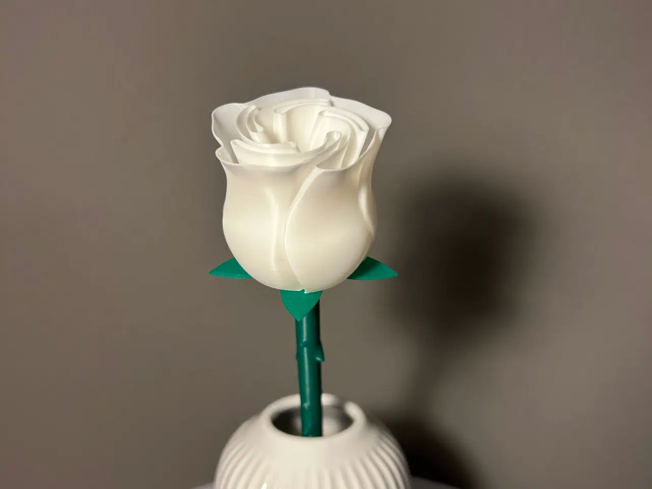 Billede 1 - Rose hvid