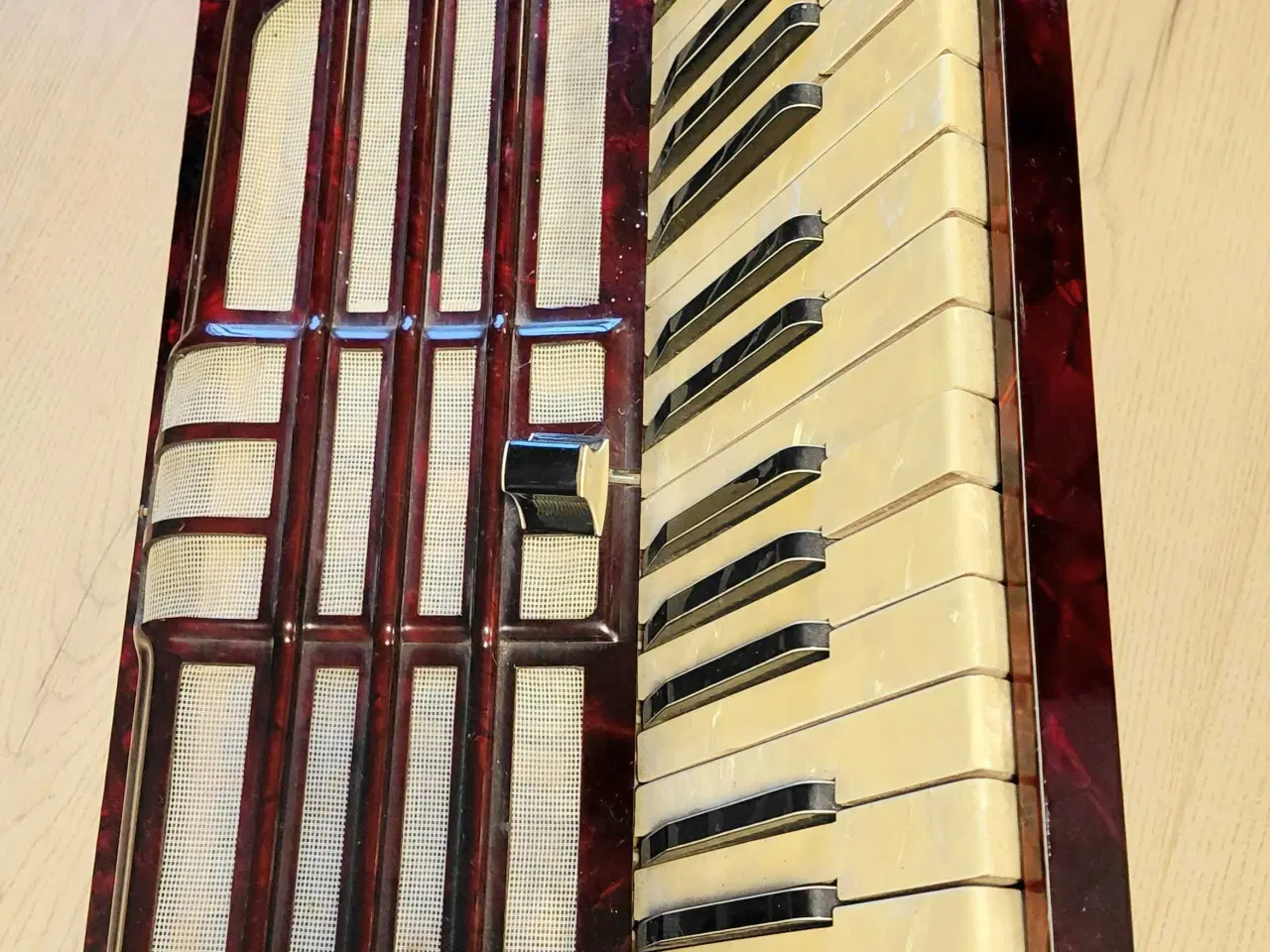 Billede 6 - Harmonika RoyalStandard