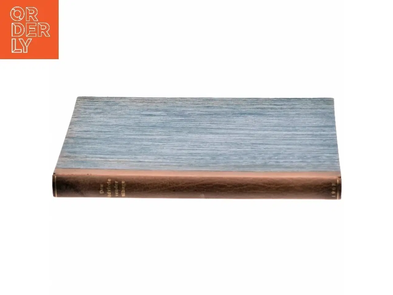 Billede 2 - Den indviede vender tilbage