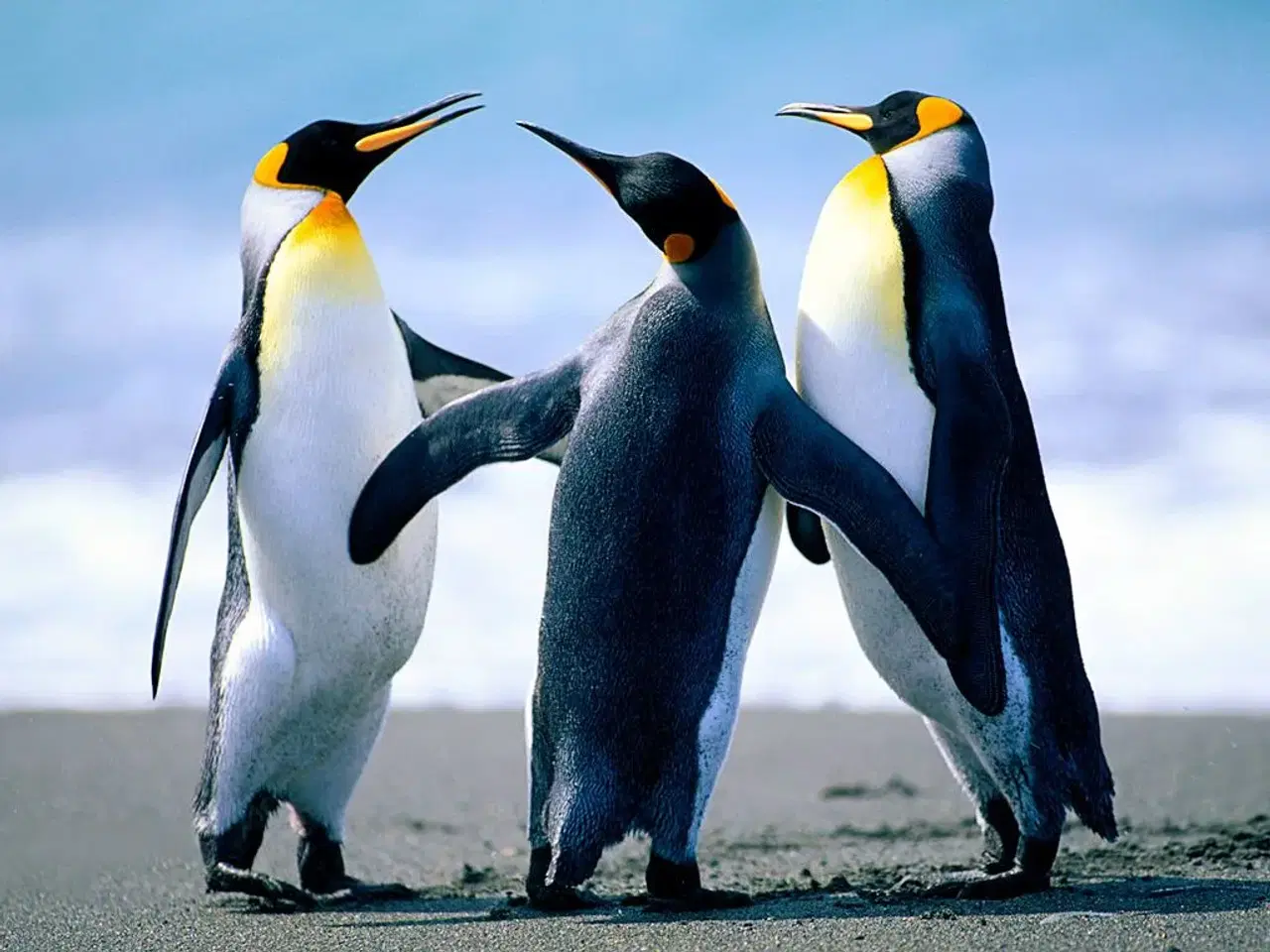 Billede 1 - Pingvinmix