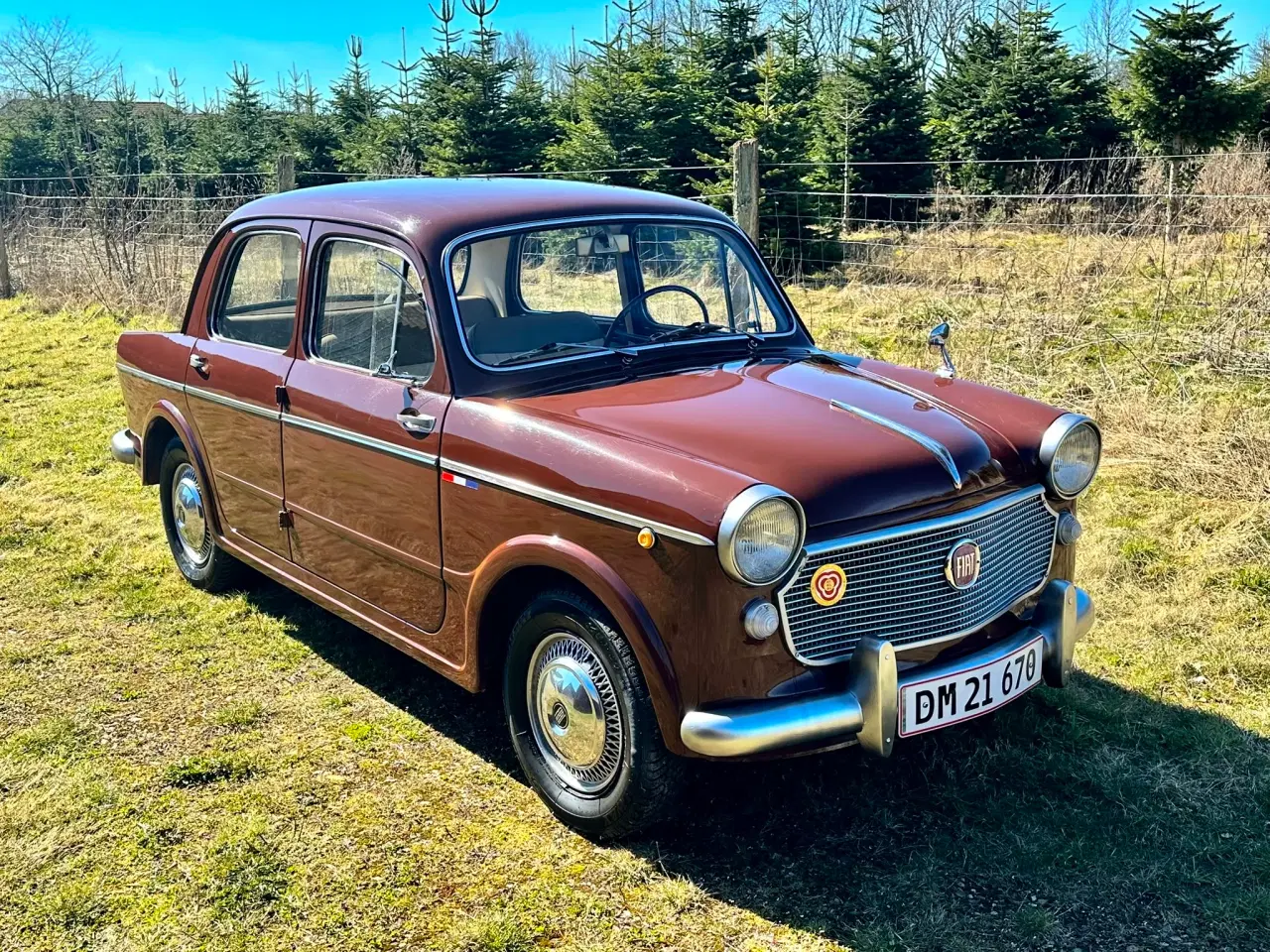 Billede 5 - 61 FIAT 1100 SALON 1961 BYTTE GERNE evt bytte