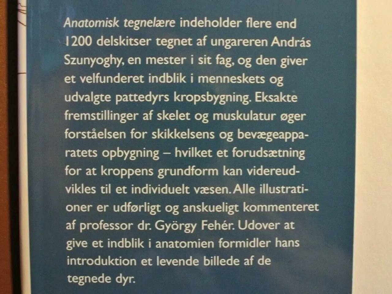 Billede 3 - anatomisk tegnelære - menneske og dyr - sammenlign