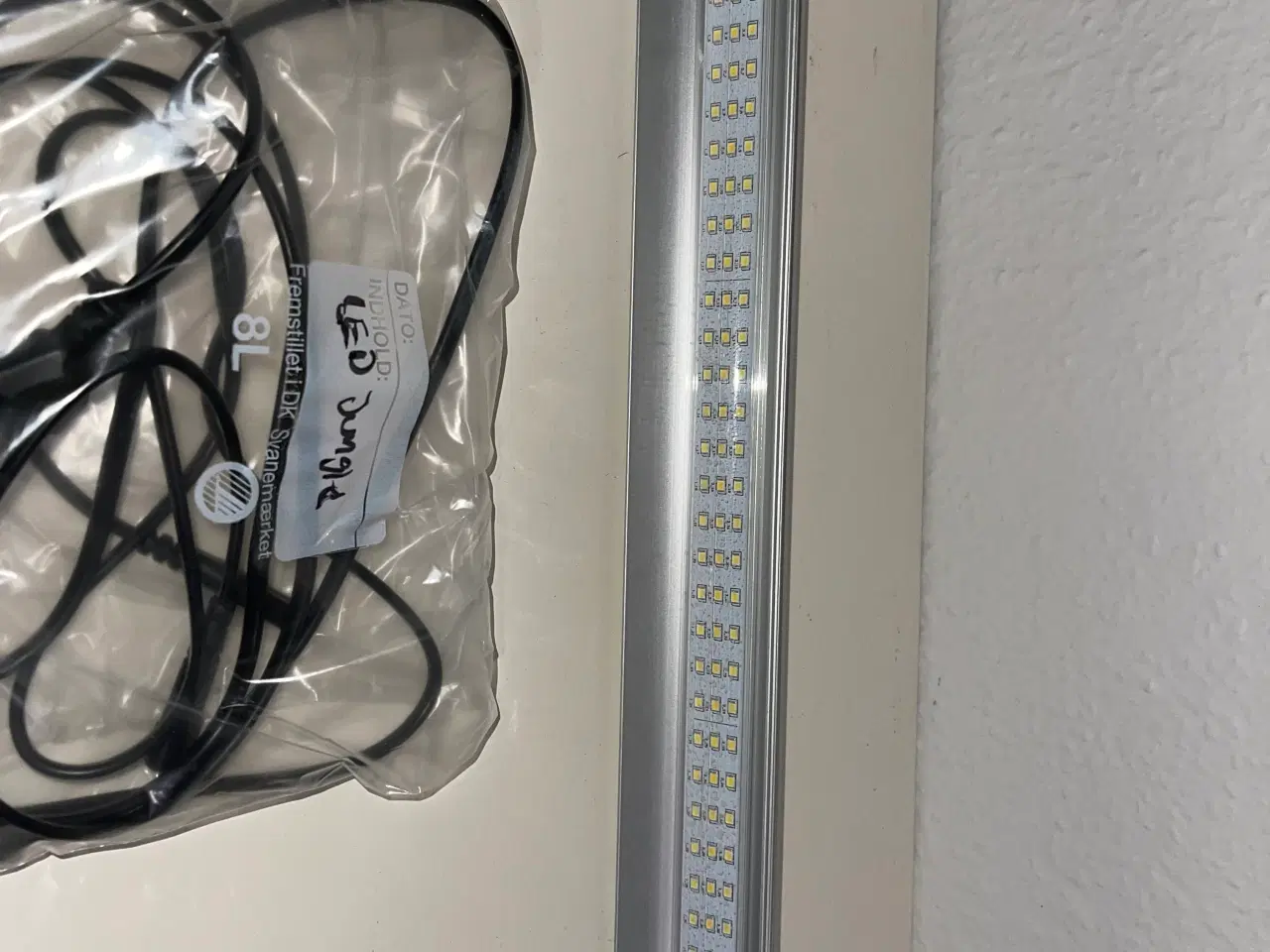 Billede 7 - Terrarie m. alt tilbehør