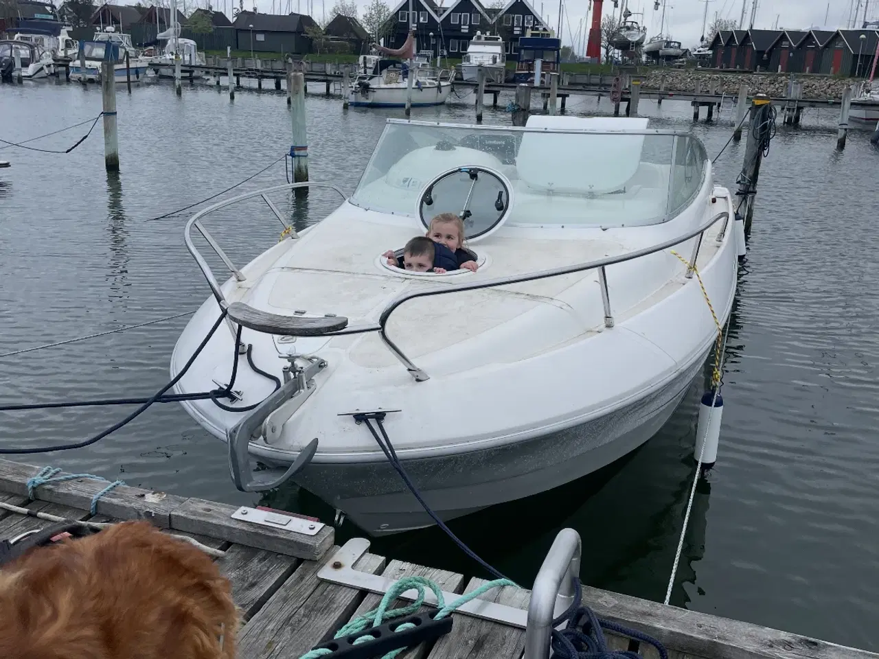 Billede 16 - Sessa Islamorada 21