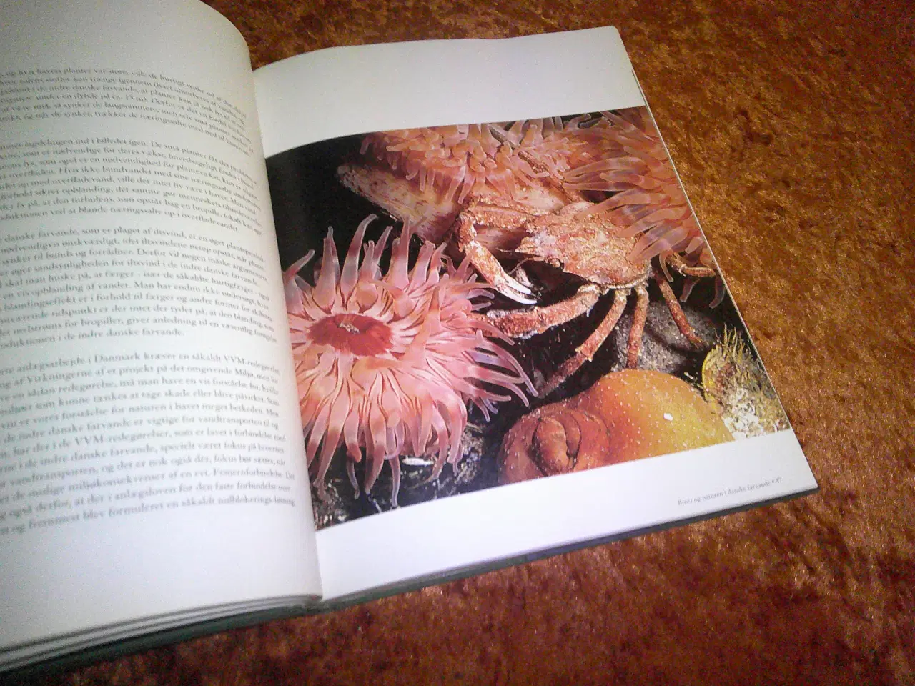 Billede 3 - Landet, vandet og broen, Karsten Holmegård,