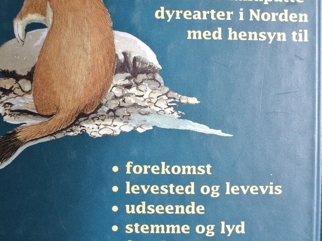 Billede 4 - nordens pattedyr , af birger jensen plancher af st