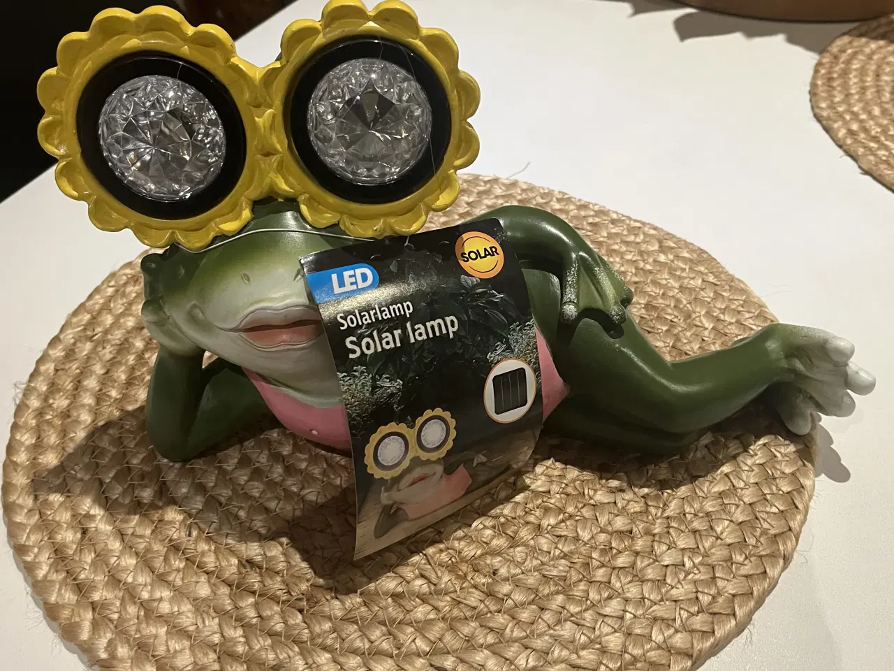 Billede 2 - Bertil solar lampefrø