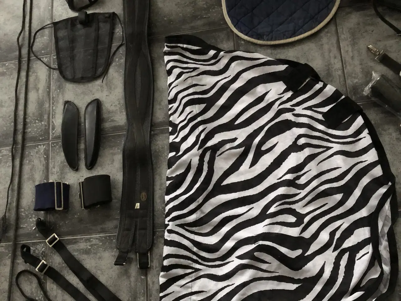 Billede 4 - rideudstyrs pakke med bla trense og longegjord