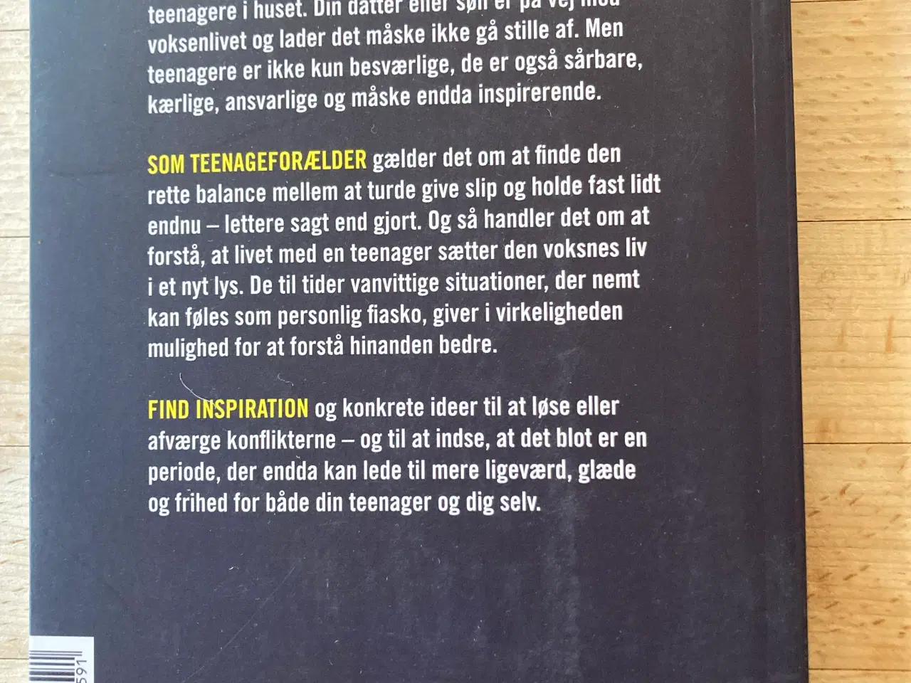 Billede 2 - Forstå din teenager, Gitte Haag