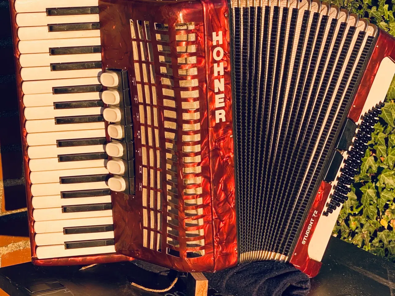 Billede 10 - Hohner Student 72 – solid og velspillende harmonik