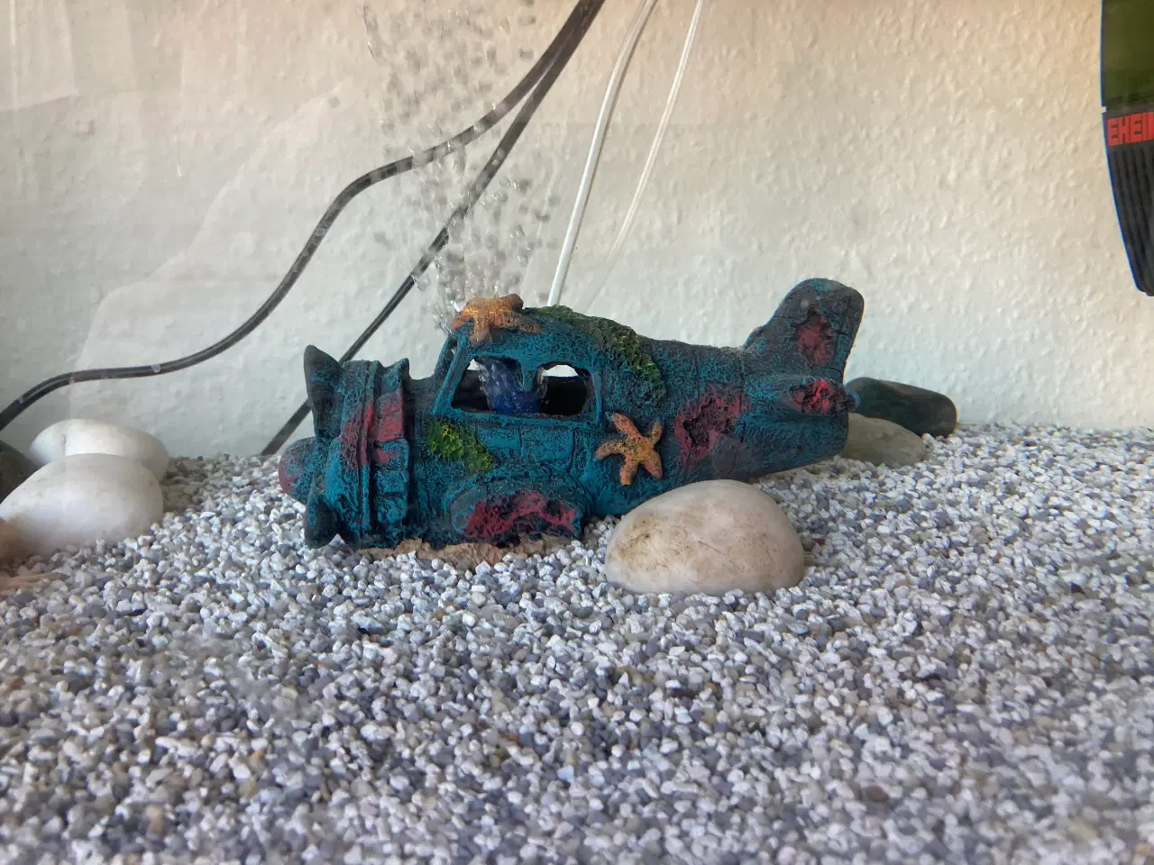 Billede 4 - Akvarium med Axolotl