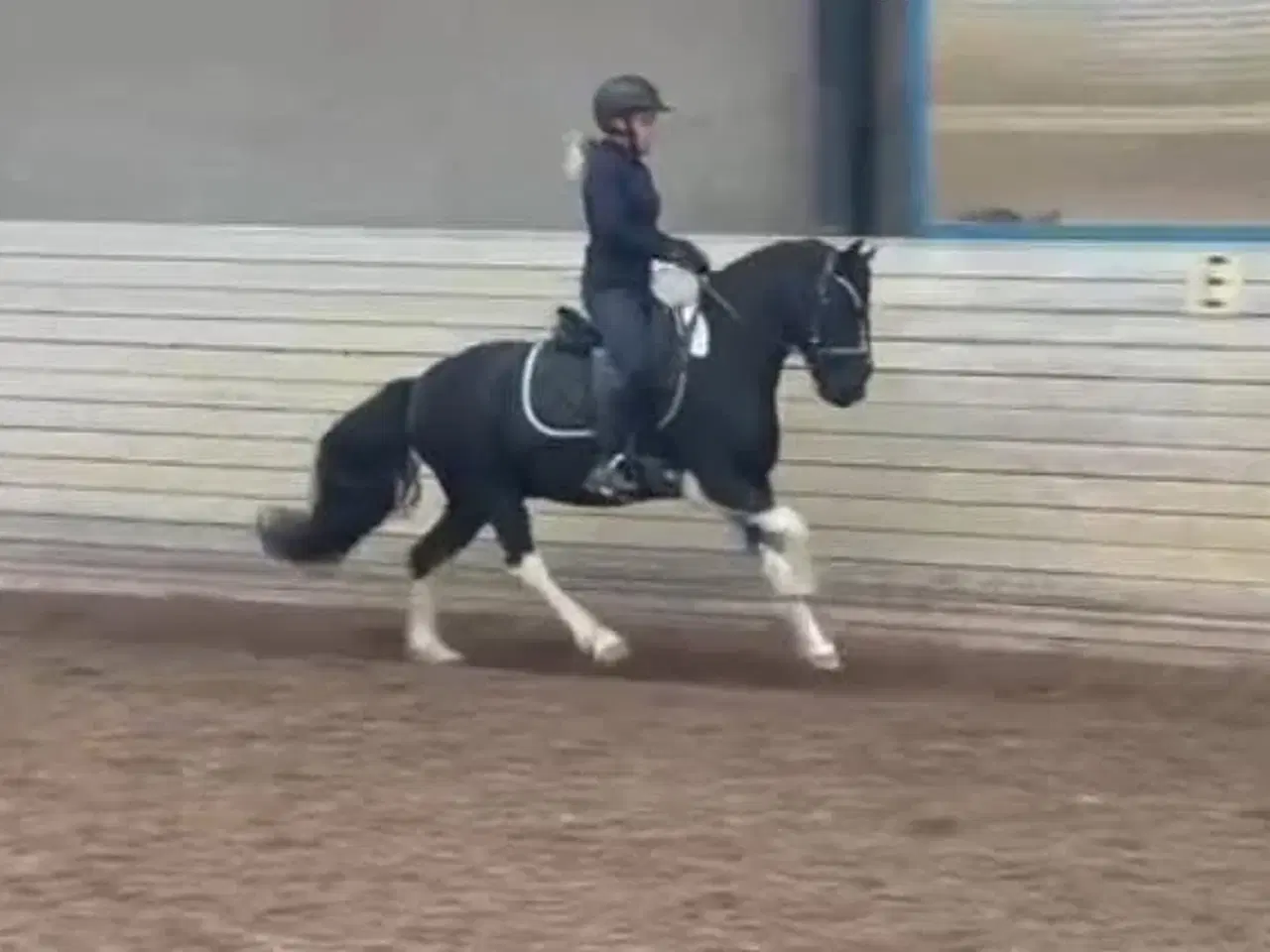 Billede 2 - Super lækker vallak med Wow effekt