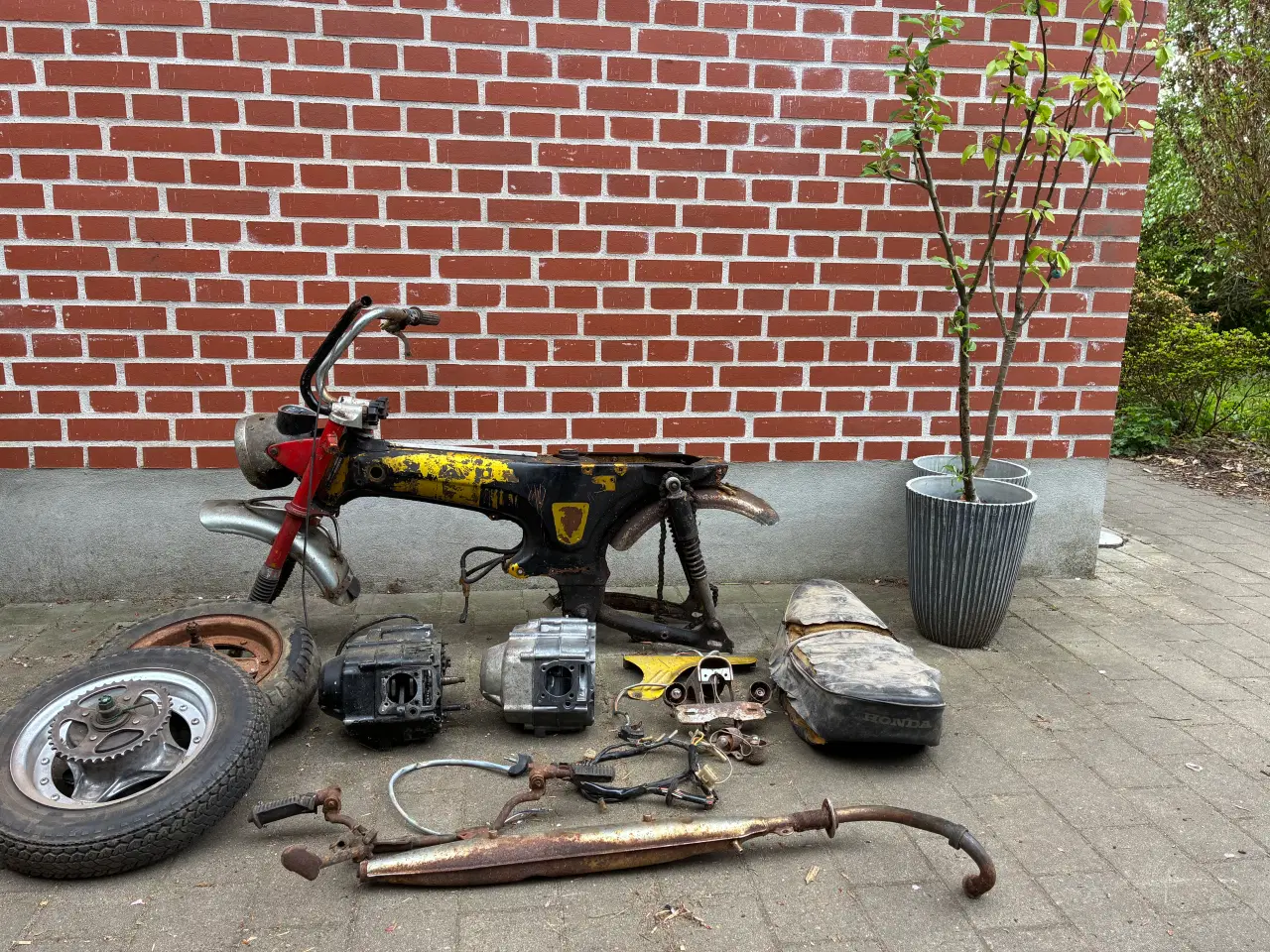 Billede 1 - Honda Dax dansk 1973