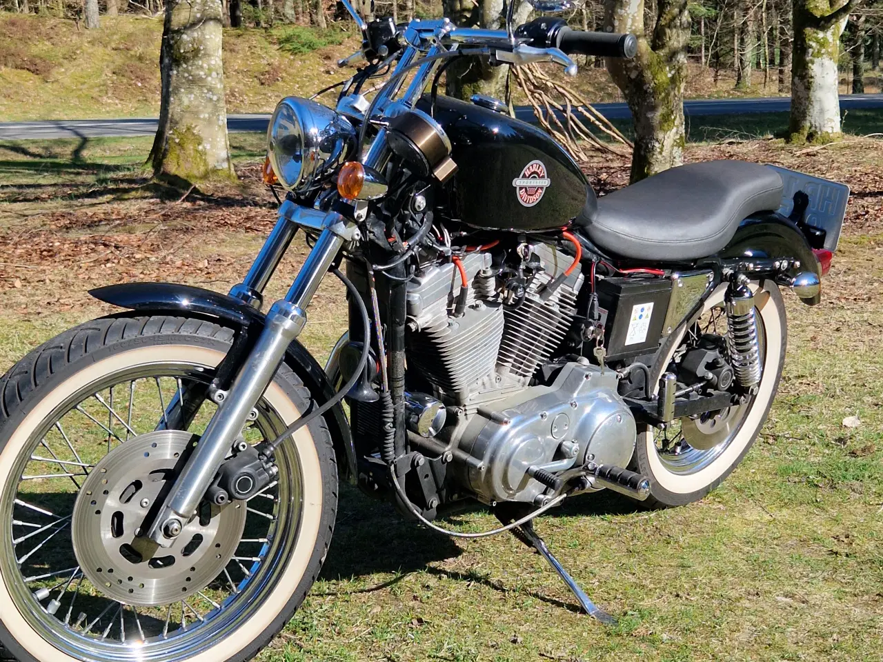 Billede 4 - Sportster 883 Nysynet