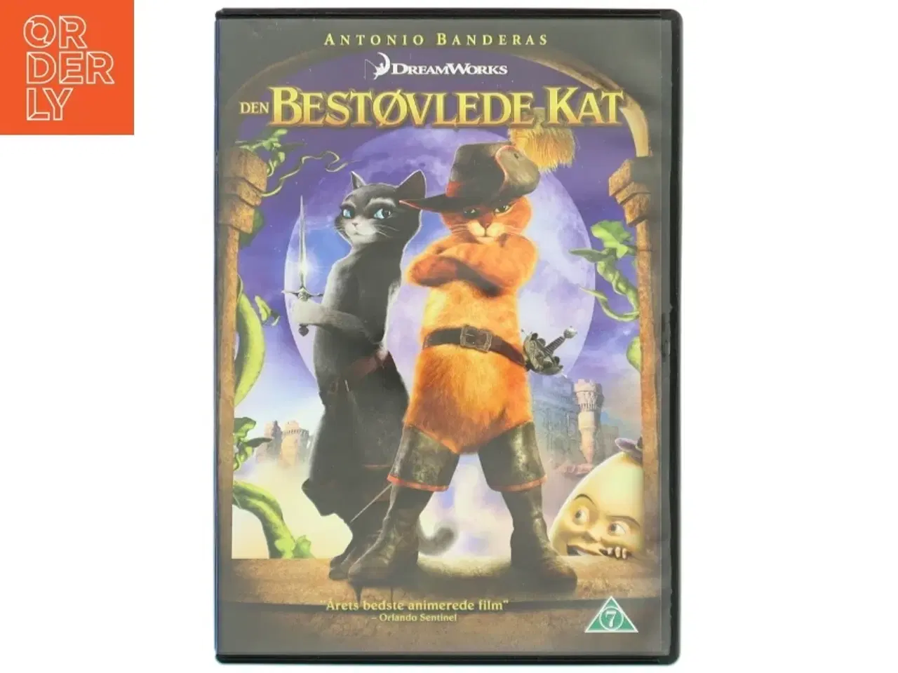 Billede 1 - Den bestøvlede kat