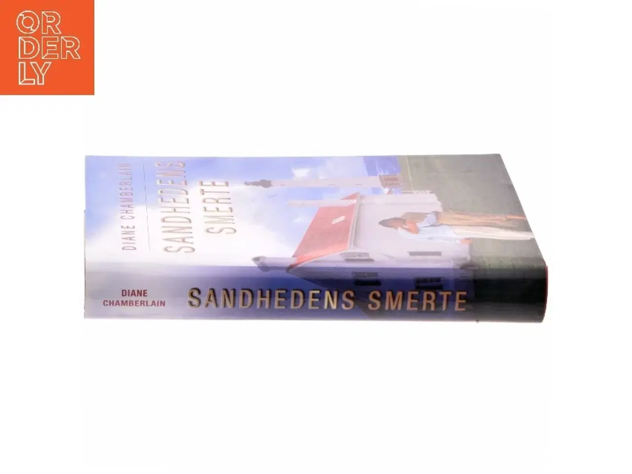 Billede 2 - Sandhedens smerte af Diane Chamberlain (Bog)