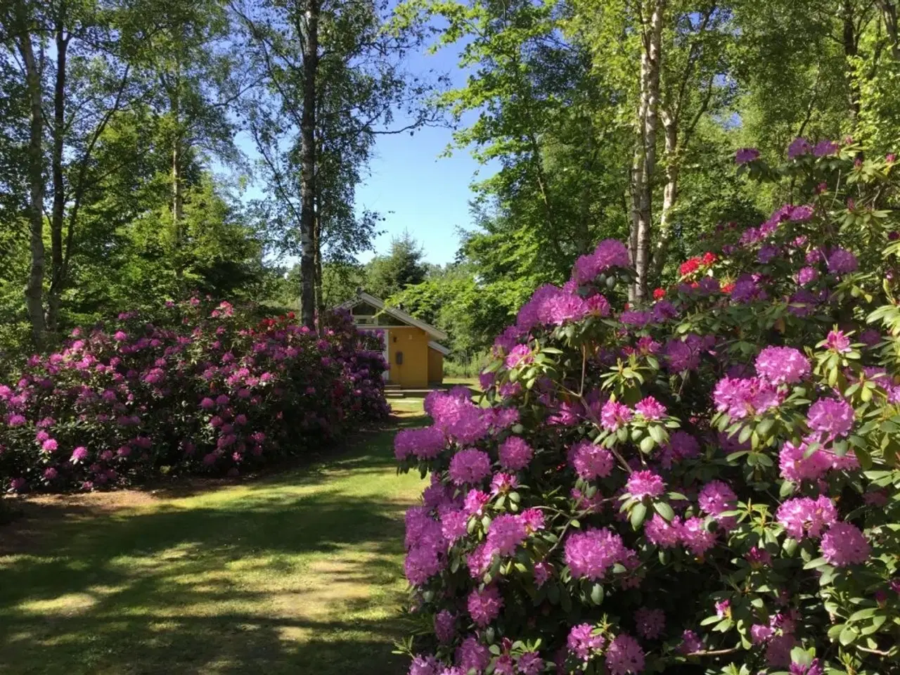 Billede 2 - SOMMERHUS P� L�S�