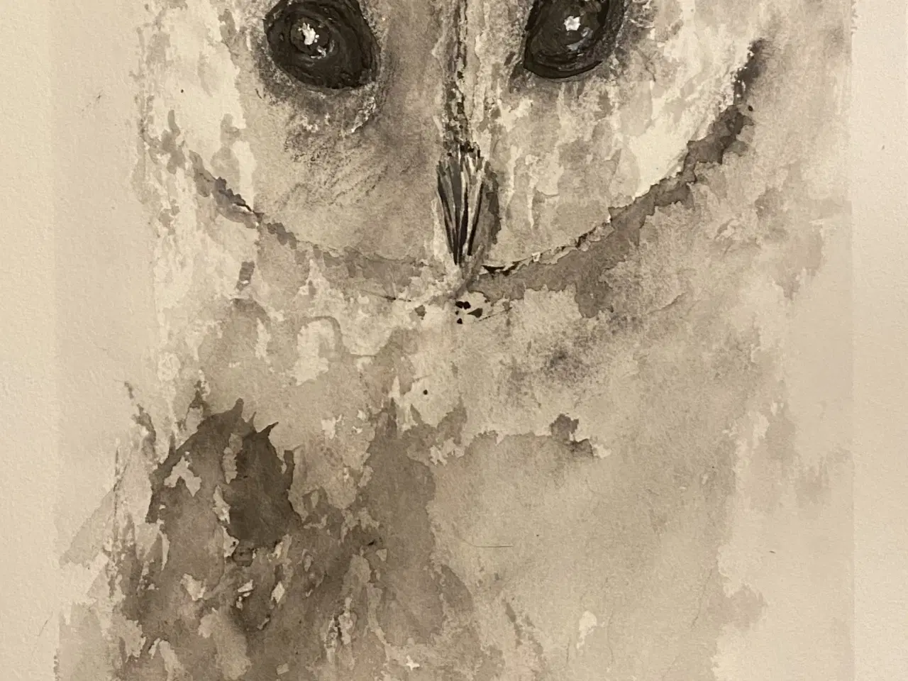 Billede 8 - Akvareller 