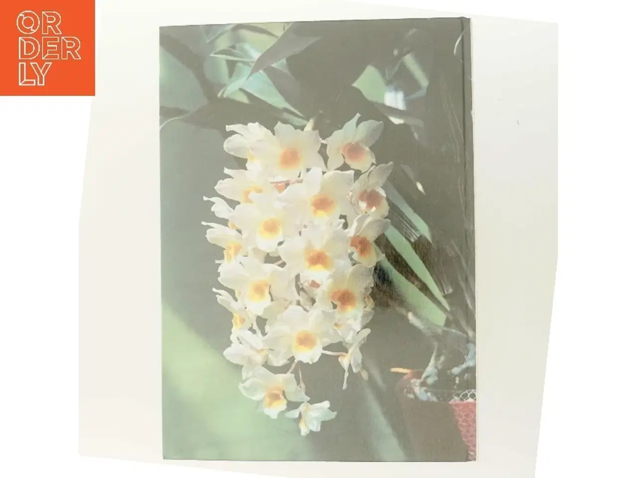 Billede 3 - Alt om stueplanter: Orkidéer (Bog)