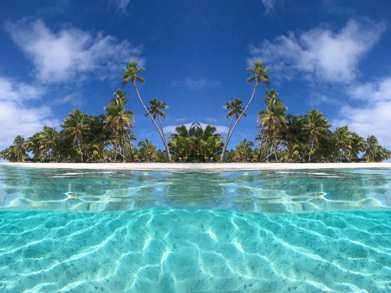 Billede 1 - specialized sworks wc jumper 