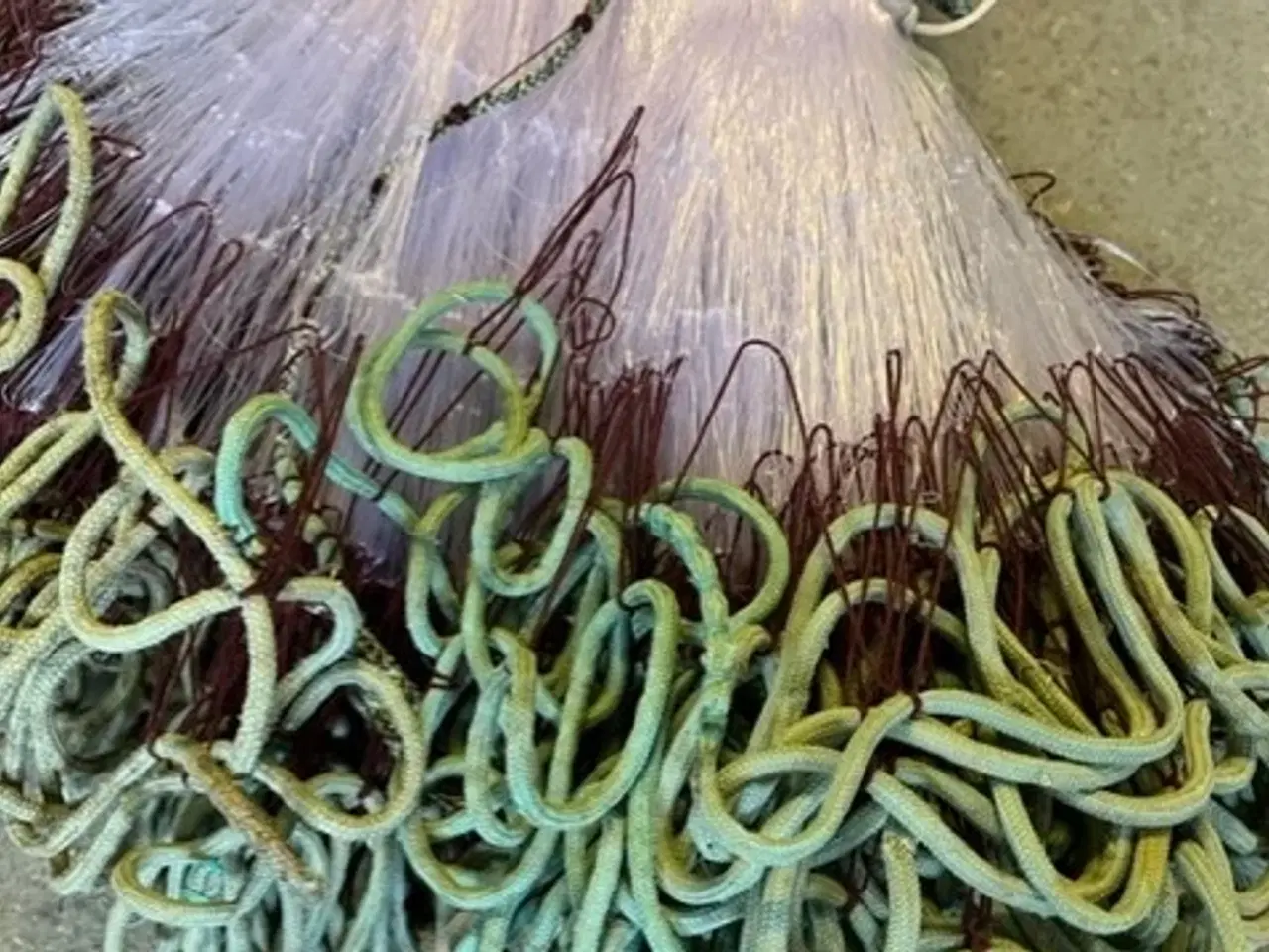 Billede 3 - 100 % Håndsyede Rødspætte - Skrubbe og Pighvar.