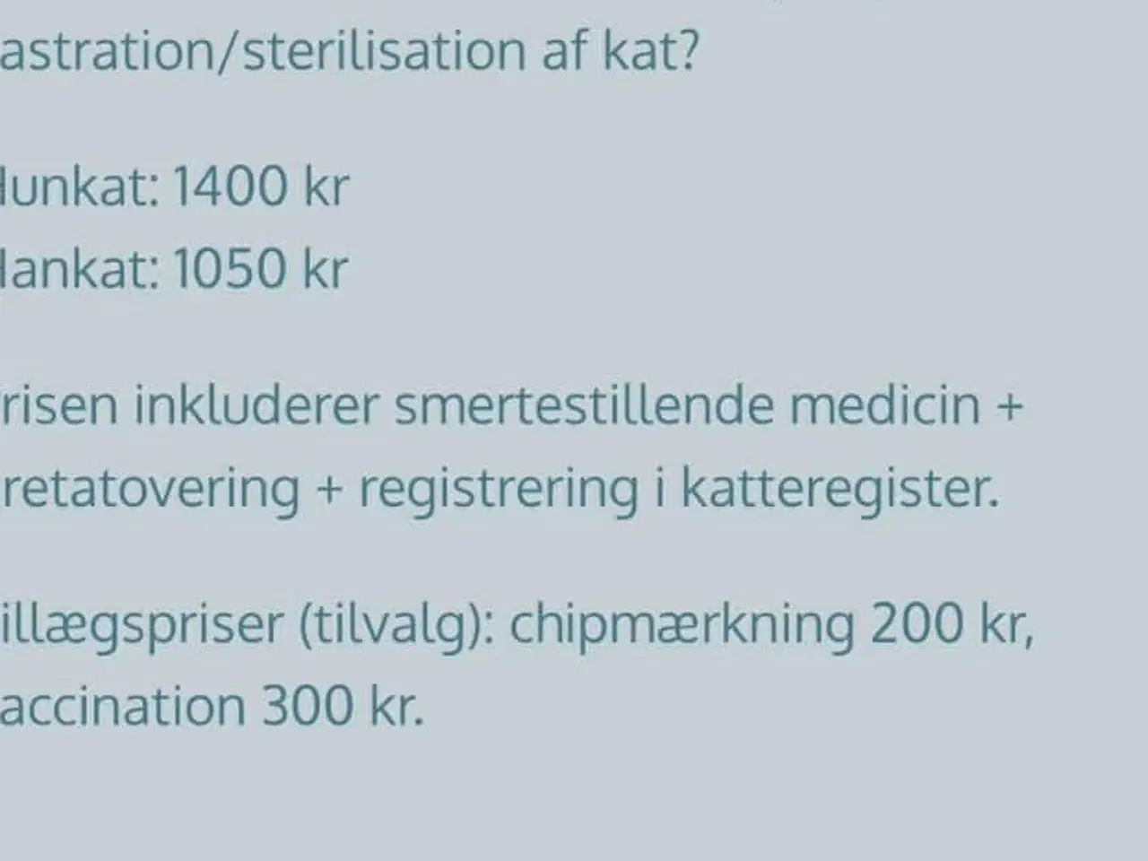 Billede 7 - Katte killinger