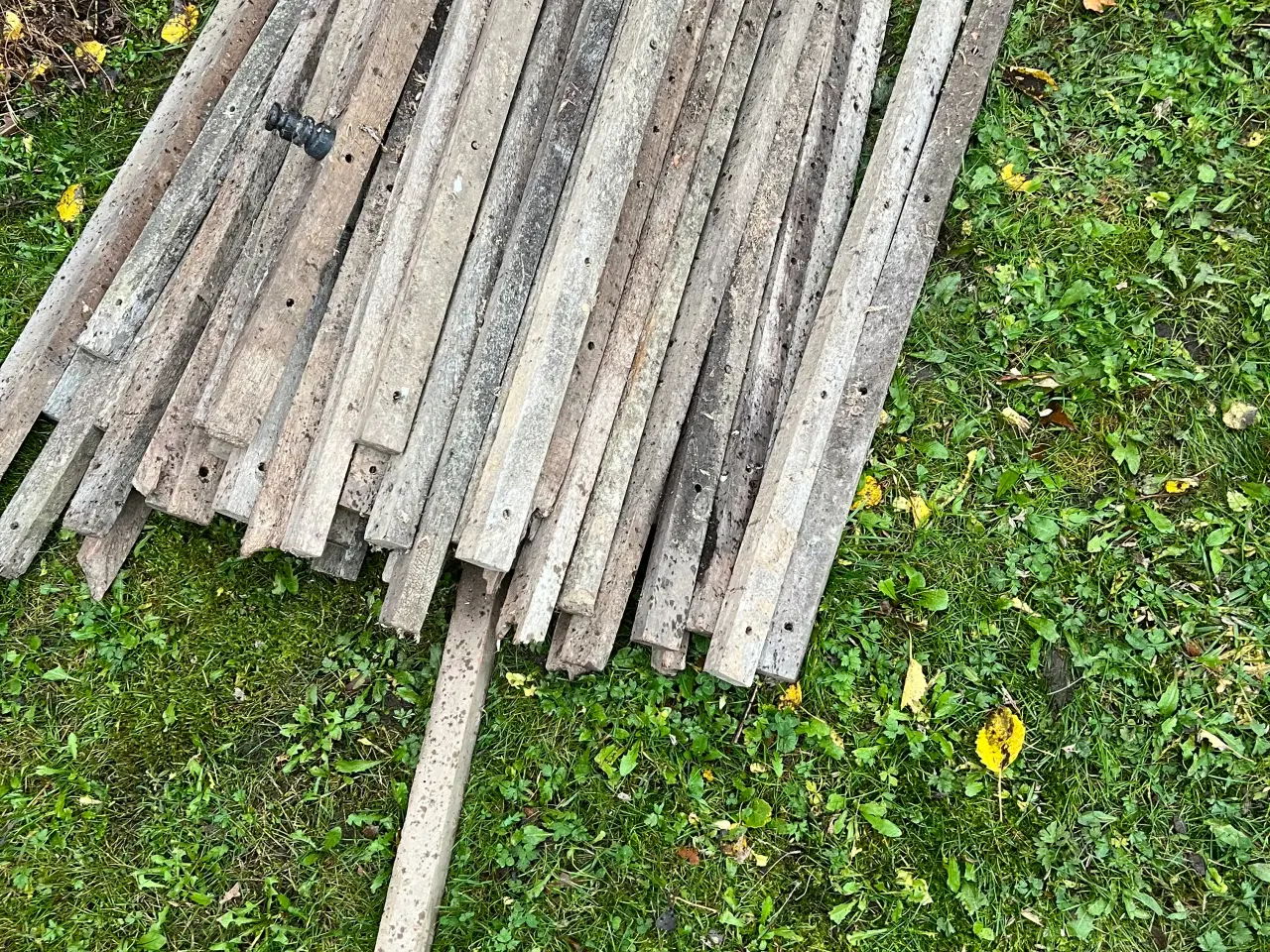 Billede 3 - Hegnsopruller og poda hegnspæle