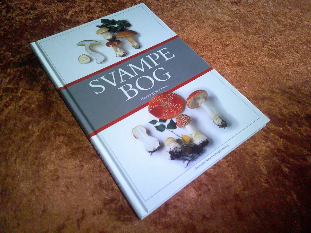 Billede 1 - Politikens visuelle svampebog, Henning Knudsen