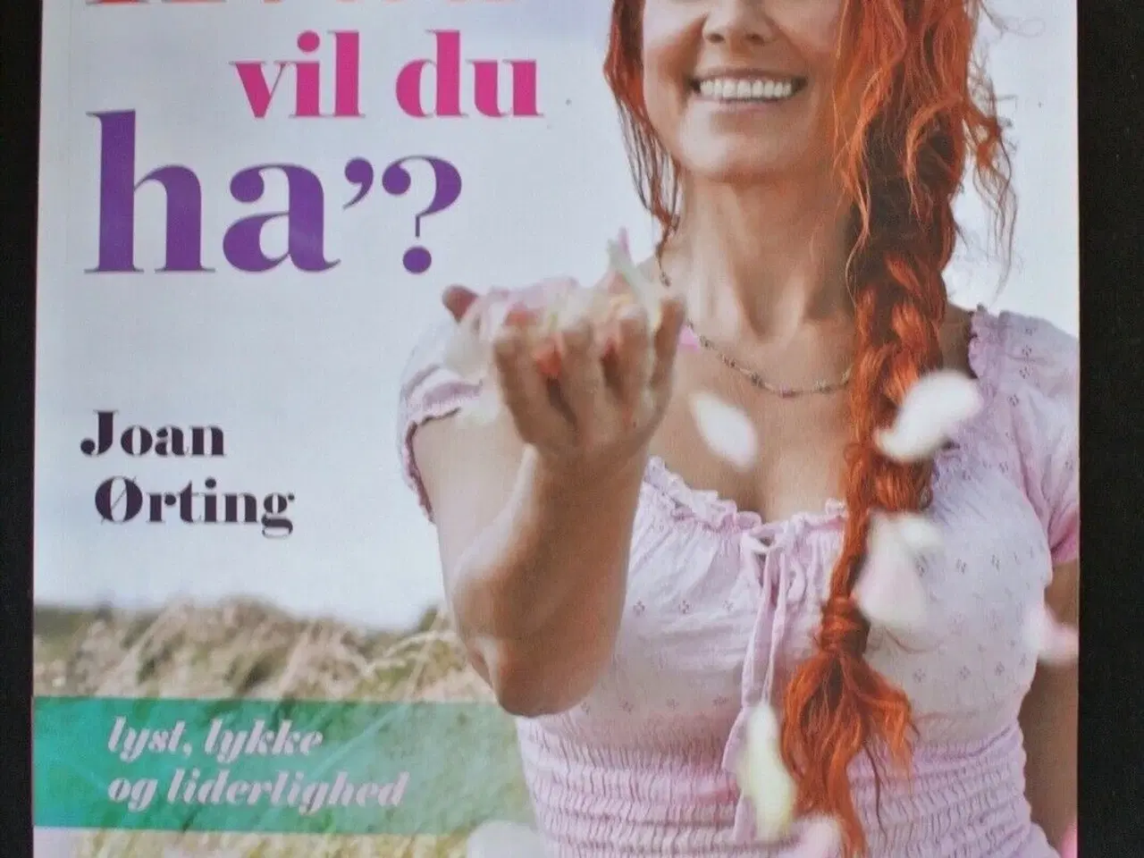 Billede 1 - hvad vil du ha - lyst, lykke og liderlighed, af jo