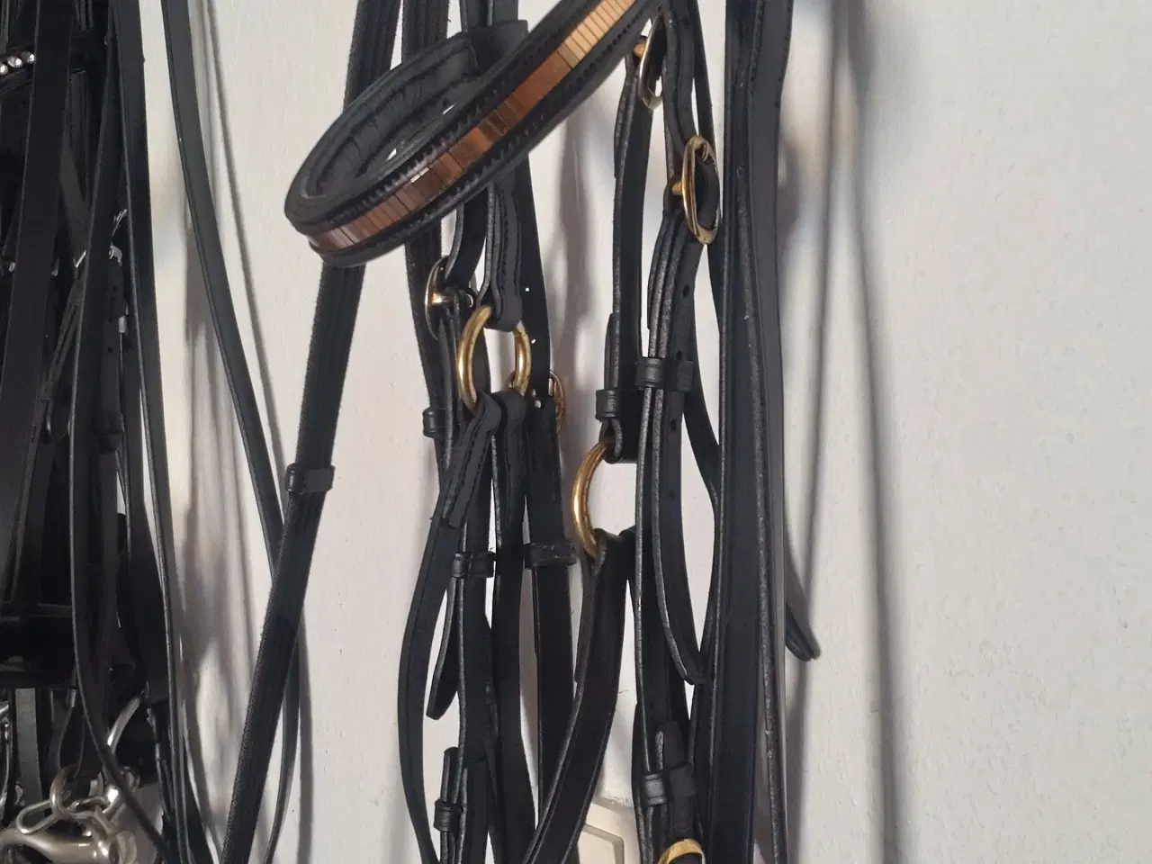 Billede 6 - Flere trenser, kandar og bid