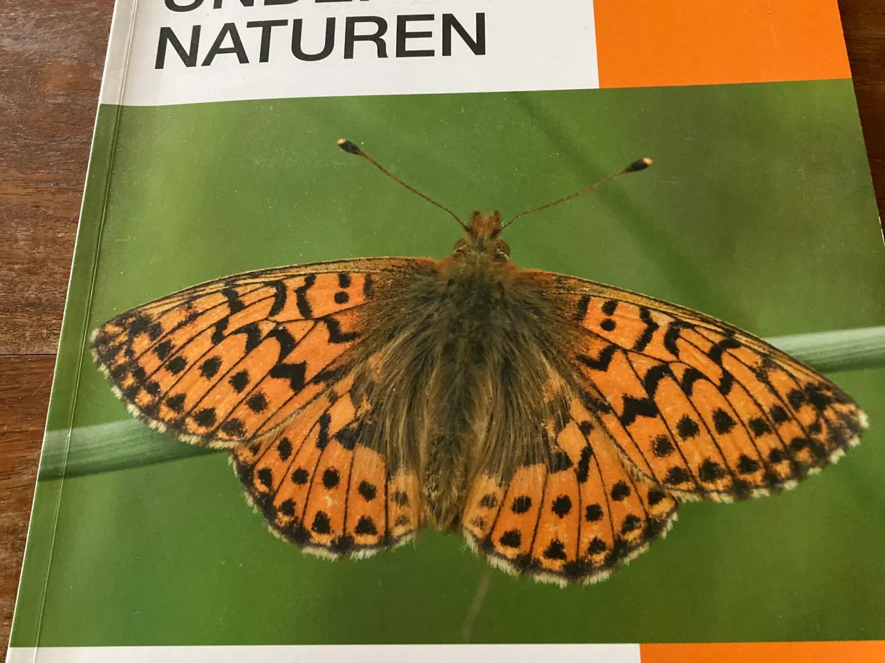 Billede 1 - Undersøg naturen lærerens bog